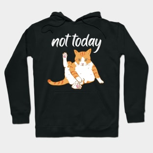 Lazy Cat Nope not Today funny sarcastic messages sayings and quotes Hoodie